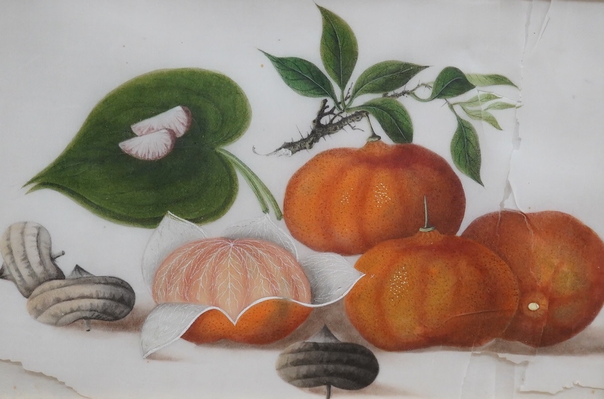 Mid 19th century, Chinese School, set of four pith paintings, Still lifes of fruit and vegetables, 18 x 26cm. Condition - poor, rips to the paper